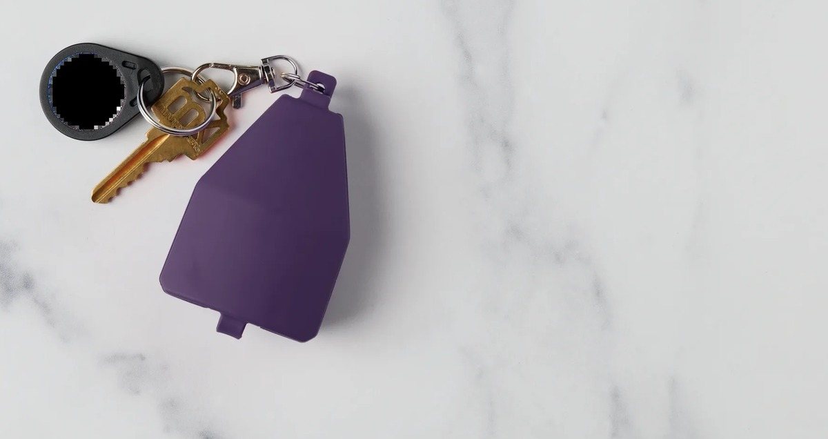 A purple nCase Lite carry case on a keyring alongside a brass key and a fob.